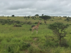 uganda-day4-22