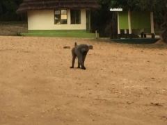 uganda-day4-5