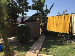 uganda-day-10-19