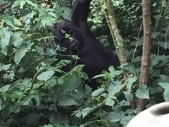 uganda-2016-day20-18