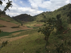 uganda-day15-17